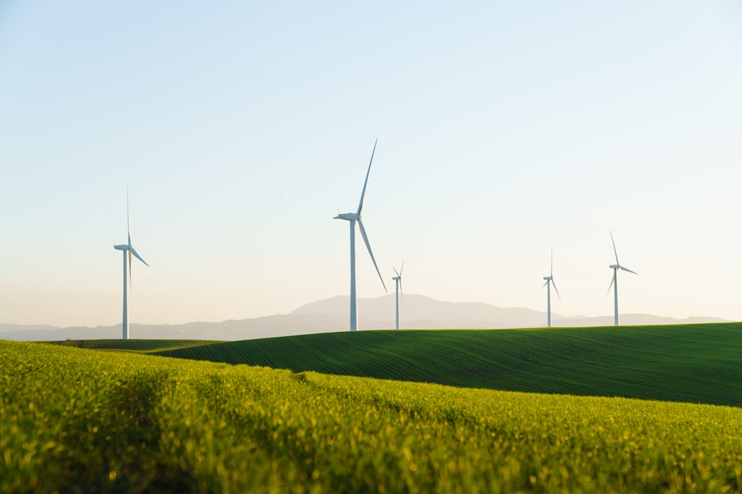Why Ireland pays more for wind energy